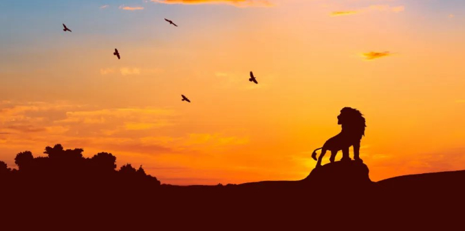 年轻的伙伴,世俗的成功可以为你赢得更多的自由的图片 年轻的伙伴,世俗的成功可以为你赢得更多的自由