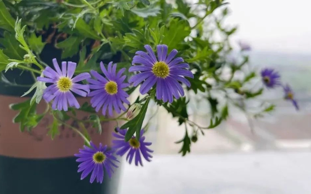 坚持一件事，受益最大的人永远是自己