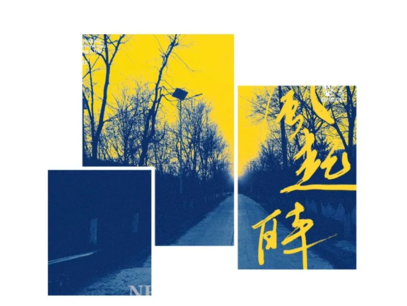 驻村防疫的日子