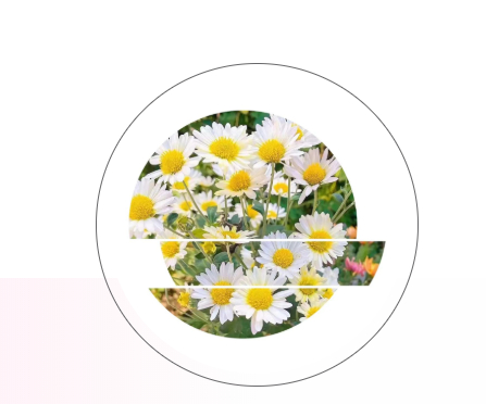 瓦窑的秋天的图片 瓦窑的秋天