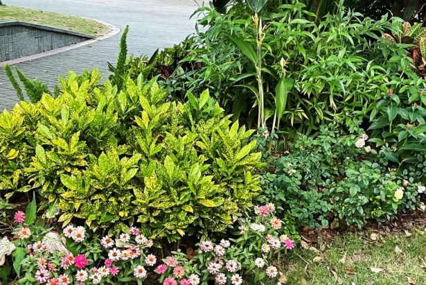 生活在现代都市,思想末了的日子的图片 生活在现代都市,思想末了的日子