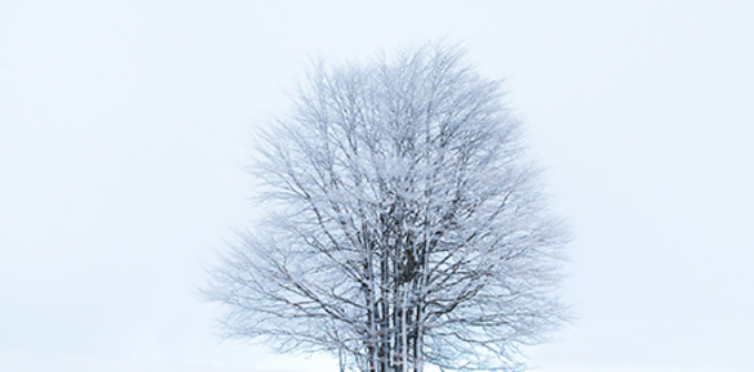 每一寸光阴都值得期待