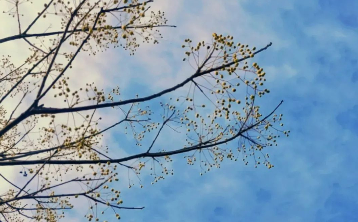 怀着春天般的热爱