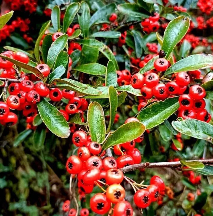 姚家沟，吉祥宝石生长的地方