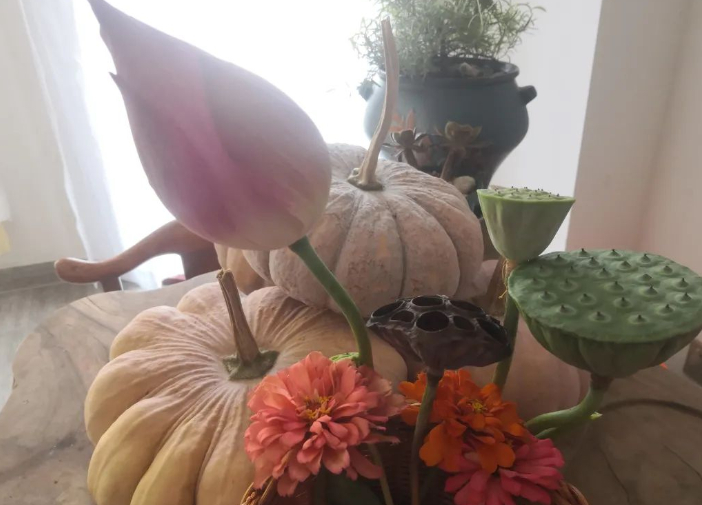 听见时光的金沙从指缝间溜走时的声响的图片 听见时光的金沙从指缝间溜走时的声响