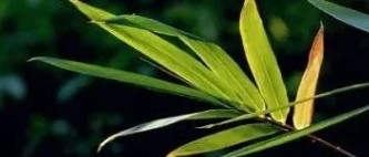 试图祈祷的图片 试图祈祷