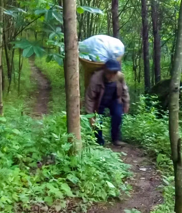 父亲的背篓的图片 父亲的背篓