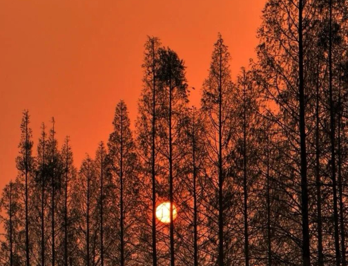 冬日暖阳——写给中国少年的一封信的图片 冬日暖阳——写给中国少年的一封信