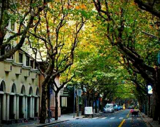 上海人的斤斤计较是务实的表现吗的图片 上海人的斤斤计较是务实的表现吗