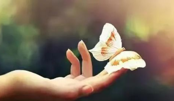 吉县人“紧”吃