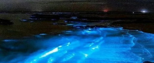 歌声飘荡在康杰