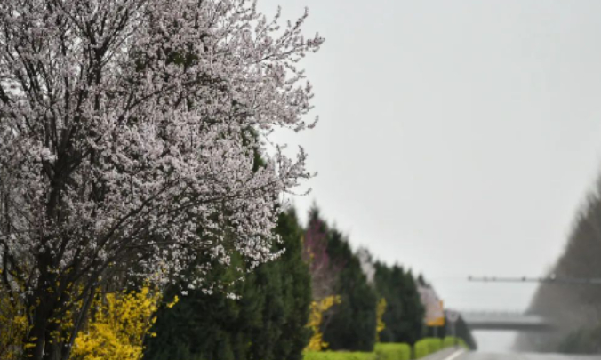 我在新健康天天如过年(百位老人故事之五)的图片 我在新健康天天如过年(百位老人故事之五)