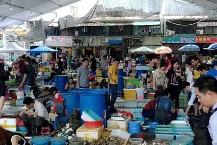 度过的留了我们无数美好记忆的老村。的图片 度过的留了我们无数美好记忆的老村。