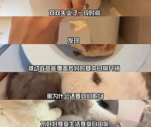 上海40岁中年夫妻存款300万提前退休，为什么会成为热点话题