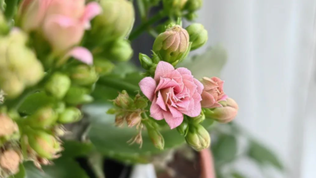 做一件事情，就全力以赴