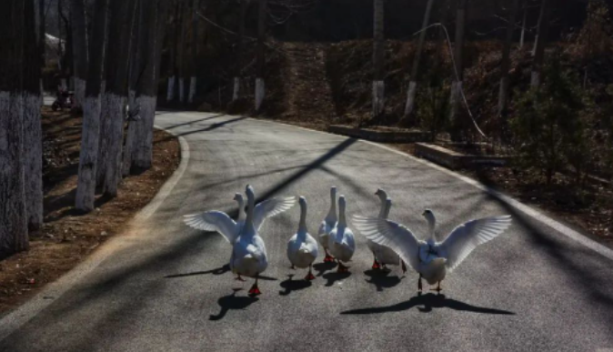 给妈妈的一封信的图片 给妈妈的一封信