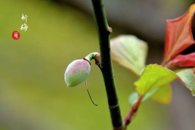 远方的寂静的图片 远方的寂静