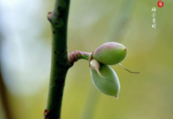 远而近的东西是:极乐净土。船的航程。男女之间。的图片 远而近的东西是:极乐净土。船的航程。男女之间。