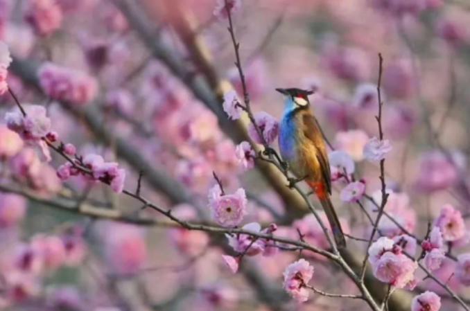 做好教学加减法的图片 做好教学加减法