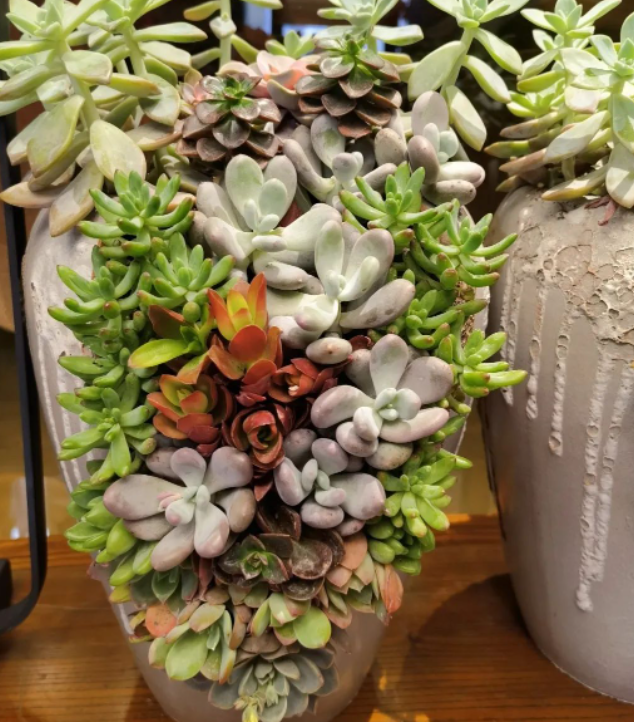 春天来得很慢，春天才有浪漫