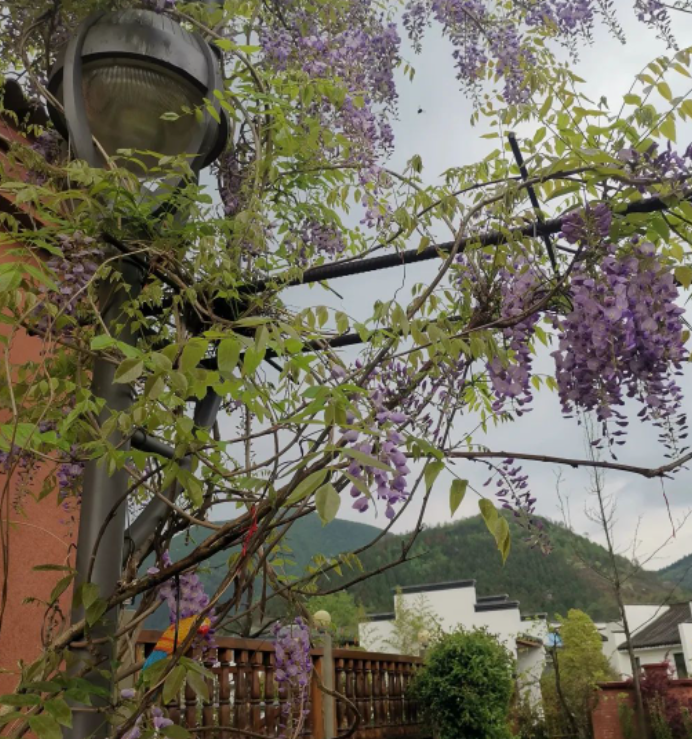 所有的美好都在路上