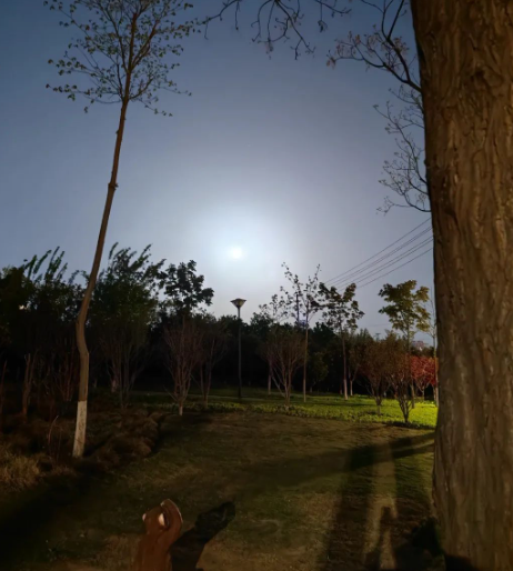 太匆忙的人看不见美