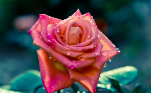 那些未被了解的内在需求，后来都变成了&#8230;