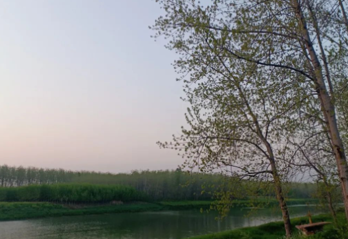 人靠什么活着的图片 人靠什么活着