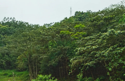 三个女人相爱相杀了30年