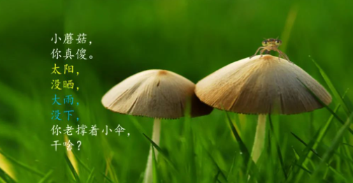 谈谈晨诵课程的实用价值