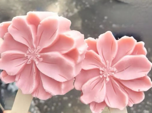 天津海棠的图片 天津海棠