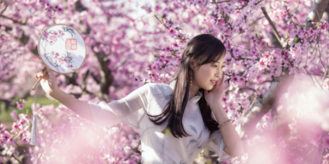 我的失眠是一场桃花劫