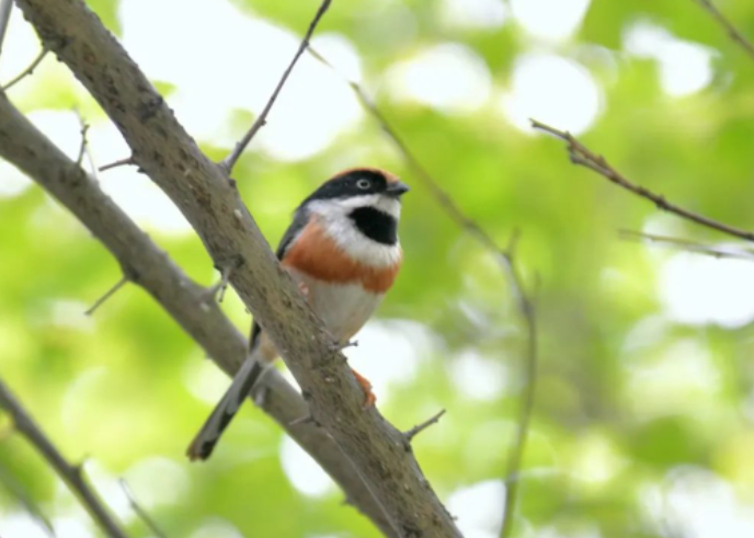 万物皆可救赎的图片 万物皆可救赎