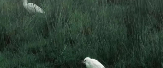 昨晚老表给我打电话,看来喝的不少的图片 昨晚老表给我打电话,看来喝的不少