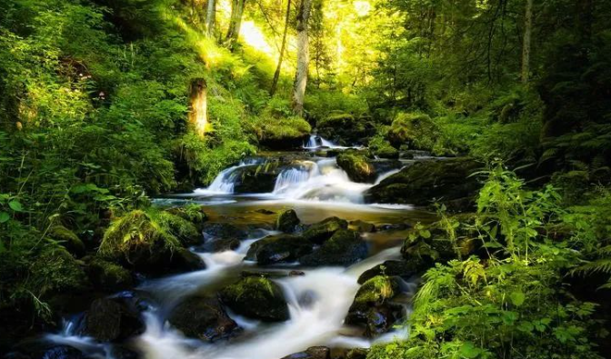 清检浊检何处寻