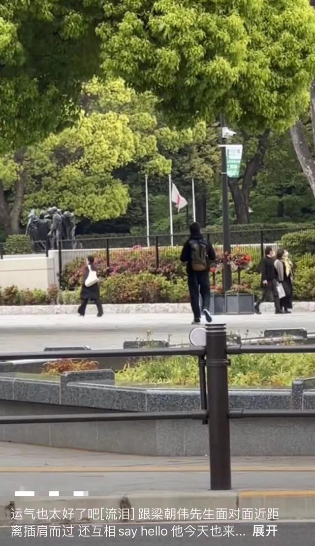 梁朝伟长居日本,背旧包独自闲逛,刘嘉玲在香港频与明星富豪聚会