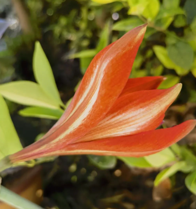 真正的风景，只在人心