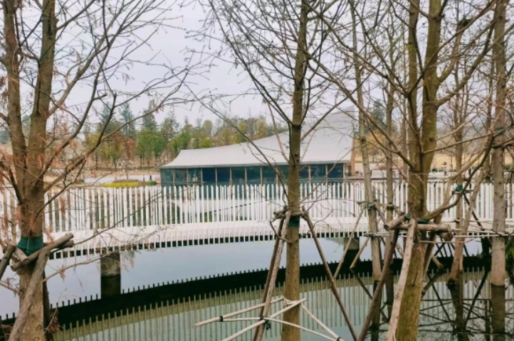 以”一本天上掉落的书”为灵感打造的兴隆湖湖畔书店的图片 以”一本天上掉落的书”为灵感打造的兴隆湖湖畔书店