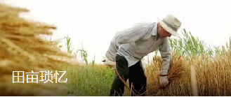 田亩琐忆