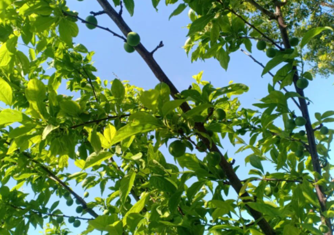 这世界本来的样子