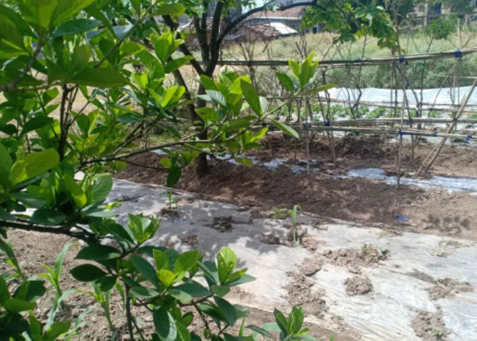 漫不经心的生活