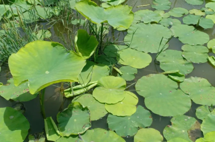 我想我首先是我自己,是一个有着独立精神的人。的图片 我想我首先是我自己,是一个有着独立精神的人。