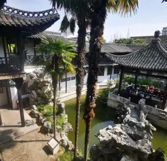 苏北游之9 扬州幽巷深庭里的稀世园林