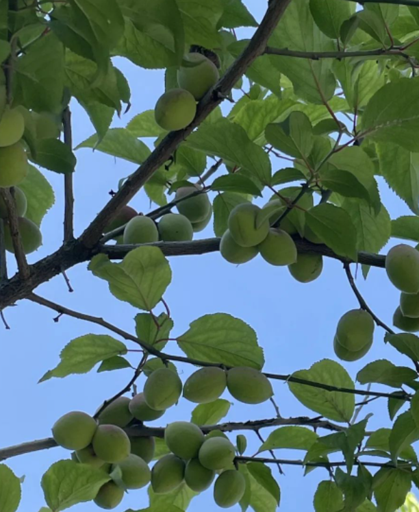 你认为自己的一生活得精彩,活得值得就好。的图片 你认为自己的一生活得精彩,活得值得就好。