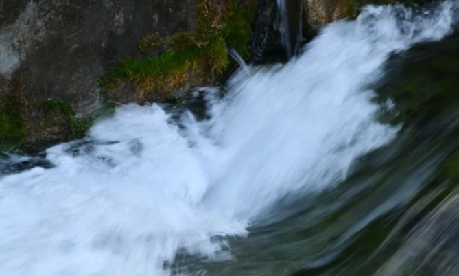 等儿子毕业回家,一定给他搭回油锅,让他尝尝油耳子的精神味道。的图片 等儿子毕业回家,一定给他搭回油锅,让他尝尝油耳子的精神味道。