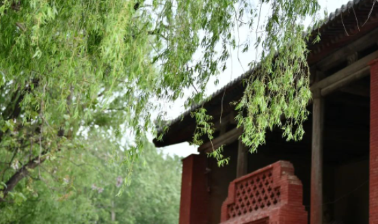 是腹有诗书气自华呀