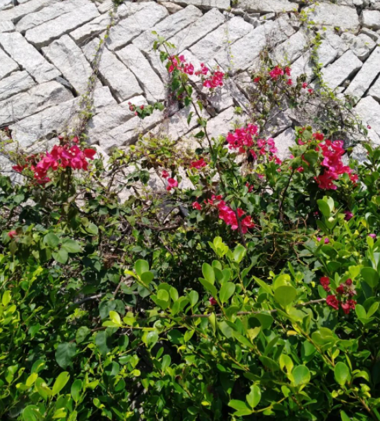 最终，我成为我。并以自己的方式留下活着的痕迹。