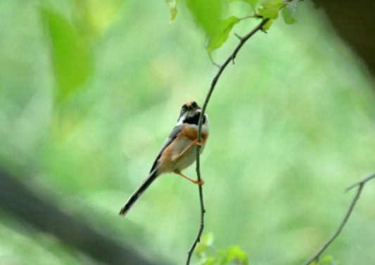最终，我成为我。并以自己的方式留下活着的痕迹。