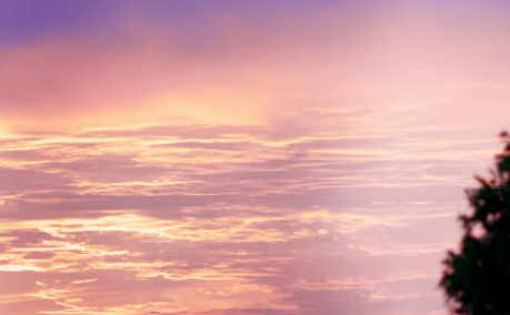 今天,你微笑了吗的图片 今天,你微笑了吗