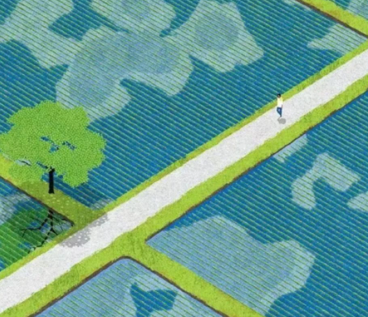 完成–反馈–接收的图片 完成–反馈–接收